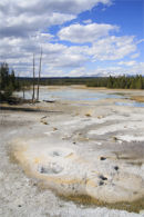 NORRIS GEYSER BASIN